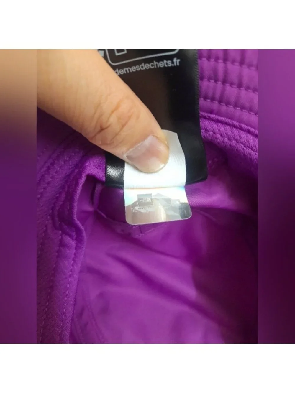 The North Face brand north